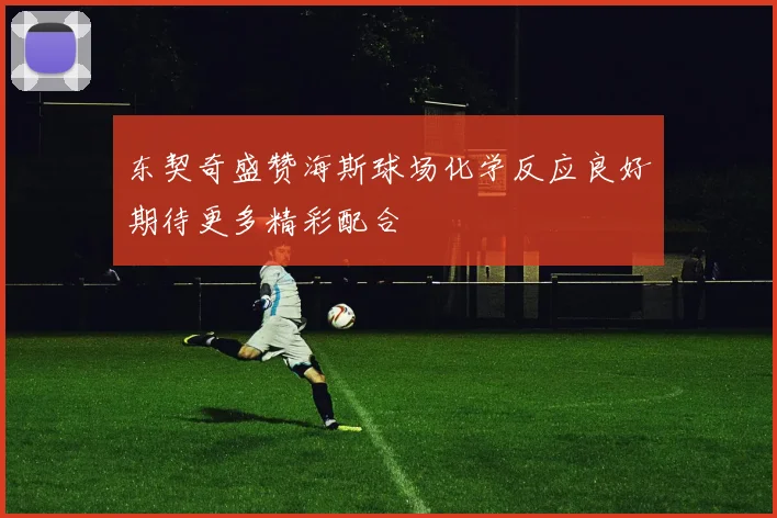 东契奇盛赞海斯球场化学反应良好期待更多精彩配合